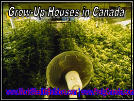 Grow up Houses